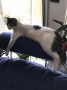 Snowo 1_IMG_6378